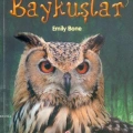 Baykuşlar