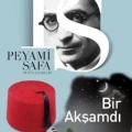 Bir Akşamdı