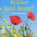 Bitkiler Nasıl Büyür?