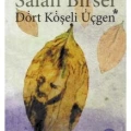 Dört Köşeli Üçgen