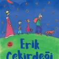 Erik Çekirdeği