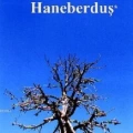 Haneberduş