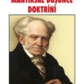 Mantıksal Düşünce Doktrini