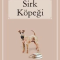 Sirk Köpeği