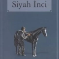 Siyah İnci