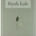 Siyah Lale