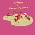 Süper Karıncalar