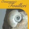 Türkiye´nin Önemli Omurgasız Fosilleri