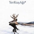 YerKuşAğı