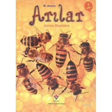 İlk Okuma - Arılar