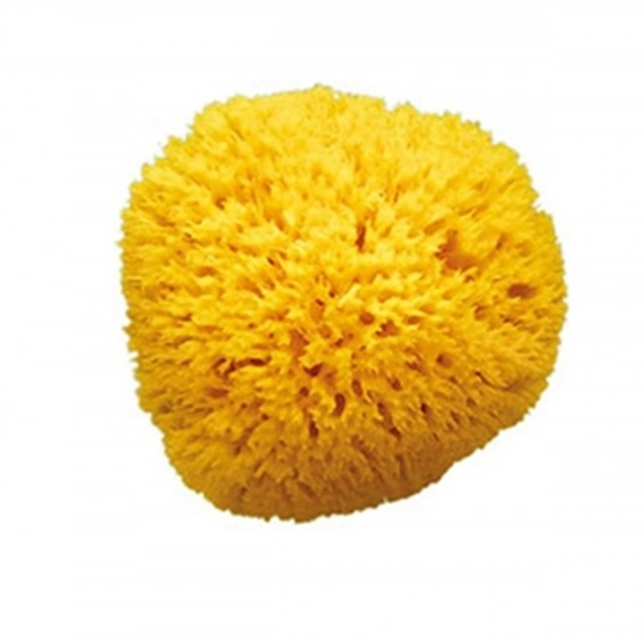 OkBaby Doğal Banyo Süngeri / Orta