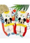 9-12-18-24 Ay Mickey Ve Arkadaşları Desenli Uzun Kollu Sweat 2li Kız Erkek Bebek Takımı Yeşil