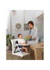 Chicco Chairy Yükseltici Mama Sandalyesi - Laydbug