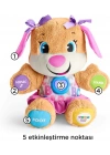 Fisher Price Eğitci Köpekçiğin Kız Kardeşi (Türkçe)