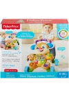 Fisher Price Eğitici Köpekçik Yürüteç Türkçe FTG10