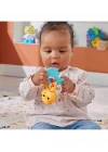 Fisher Price Eğlenceli Dostlar Çıngıraklı Dişlik - Su Samuru HJW11-HKD69