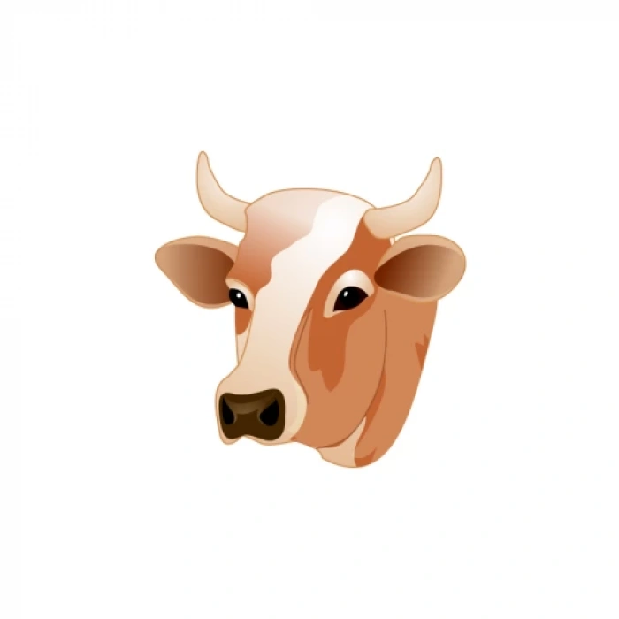 Ak Kurban - Kurban Satış Programı