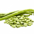 İÇ BAKLA 500 GR (AYIKLANMIŞ)