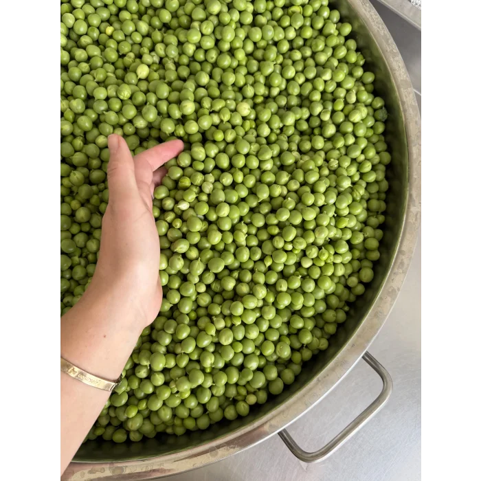 BEZELYE 500 gr (AYIKLANMIŞ)