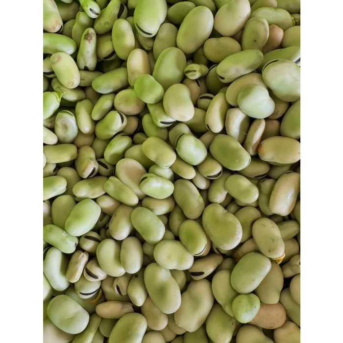 İÇ BAKLA 500 GR (AYIKLANMIŞ)