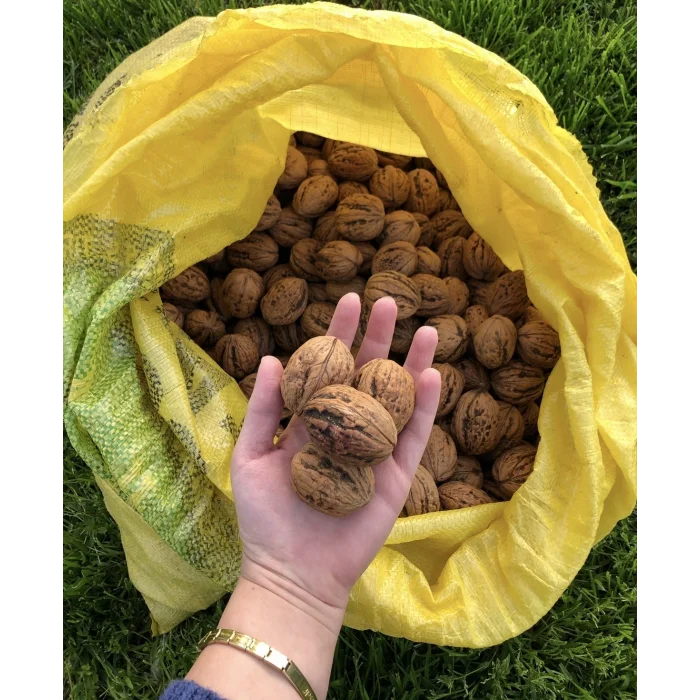 Yerli Ceviz 500 gr (Kabuklu)