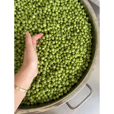 BEZELYE 500 gr (AYIKLANMIŞ)