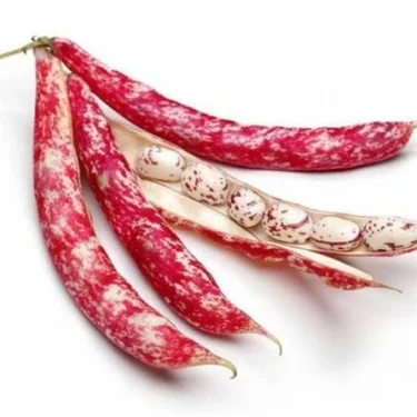 BARBUNYA 500 GR (AYIKLANMIŞ)