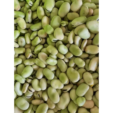 İÇ BAKLA 500 GR (AYIKLANMIŞ)