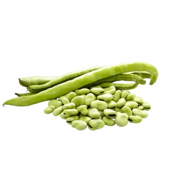 İÇ BAKLA 500 GR (AYIKLANMIŞ)