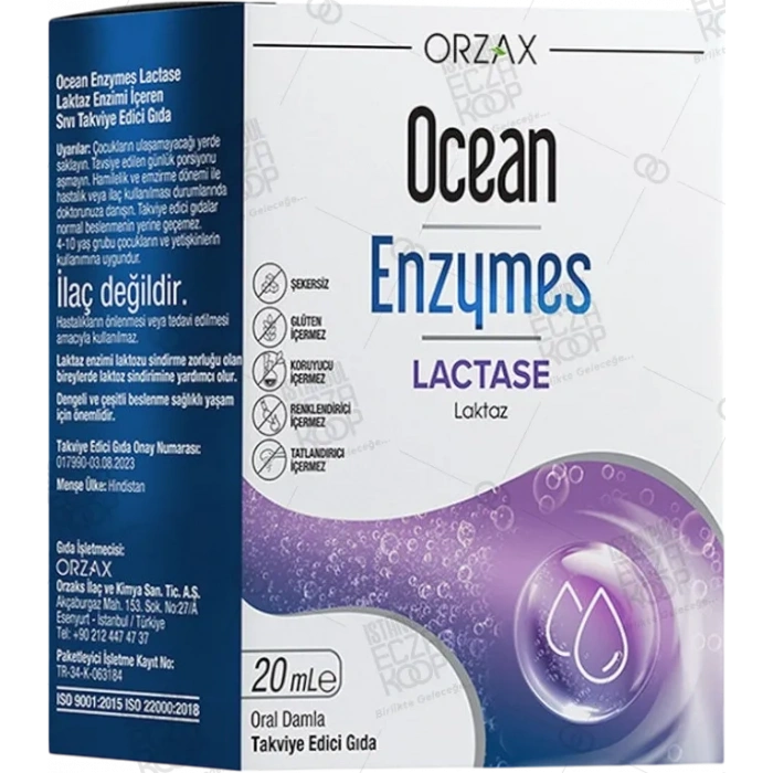 OCEAN ENZYMES LACTASE DAMLA TAKVIYE EDICI GIDA 20 ml şişe