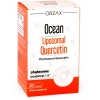OCEAN QUERCETIN ICEREN TAKVIYE EDICI GIDA 100 mg 60 kapsül