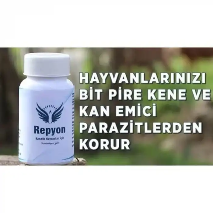 Repyon Bi̇t Ilaci 100gr