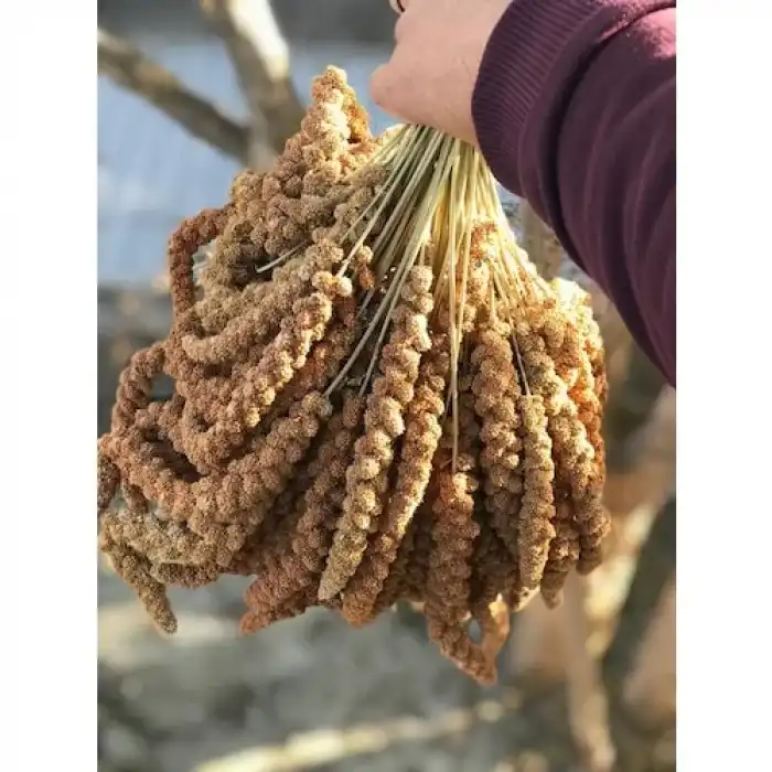 Murtcu Kızıl Dal Darı Protein Deposu Organik Kuş Yemi 1 Kg