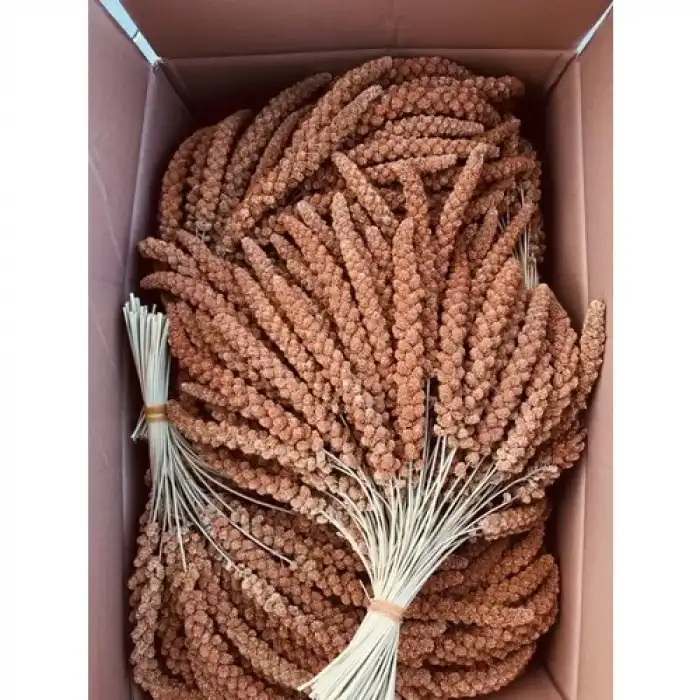 Murtcu Kızıl Dal Darı Protein Deposu Organik Kuş Yemi 1 Kg