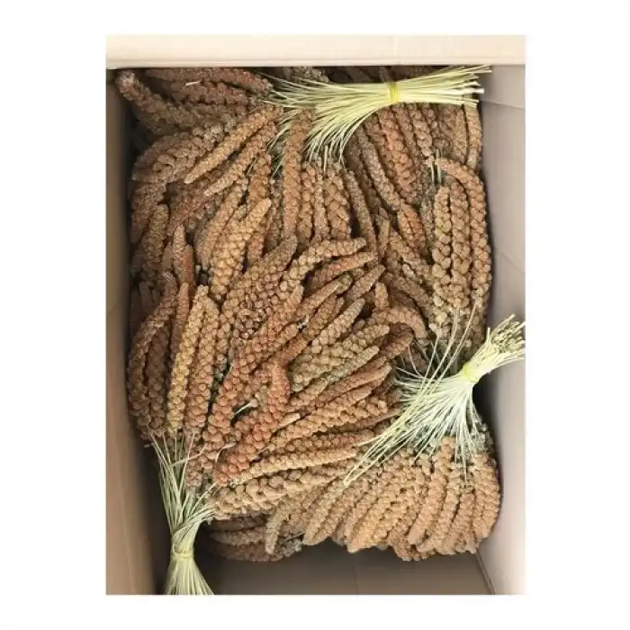 Murtcu Kızıl Dal Darı Protein Deposu Organik Kuş Yemi 1 Kg