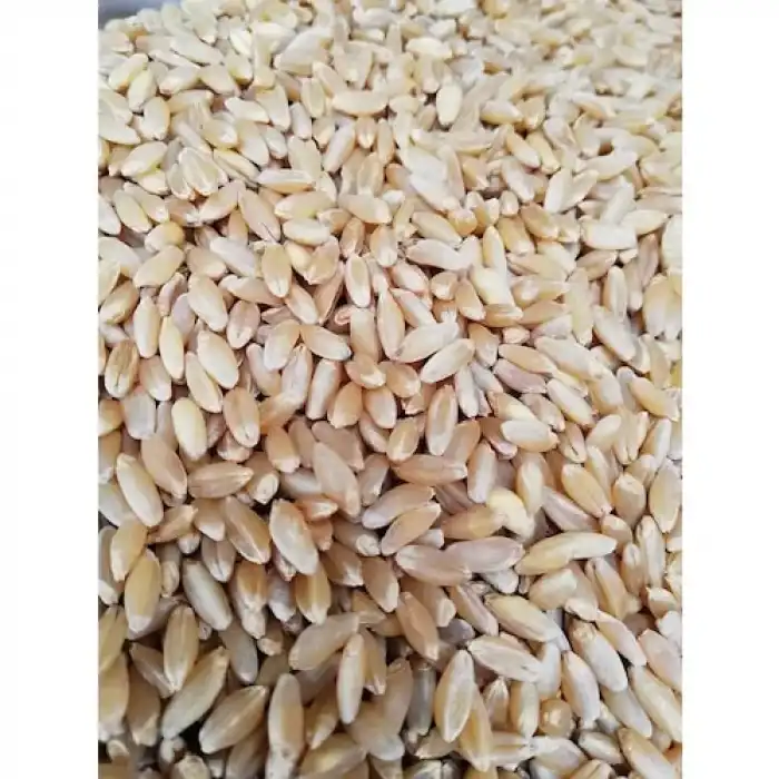 Elenmi̇ş Kirmizi Buğday 25kg