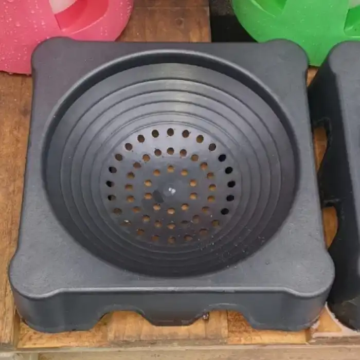 Güvercin Folluğu 10adet