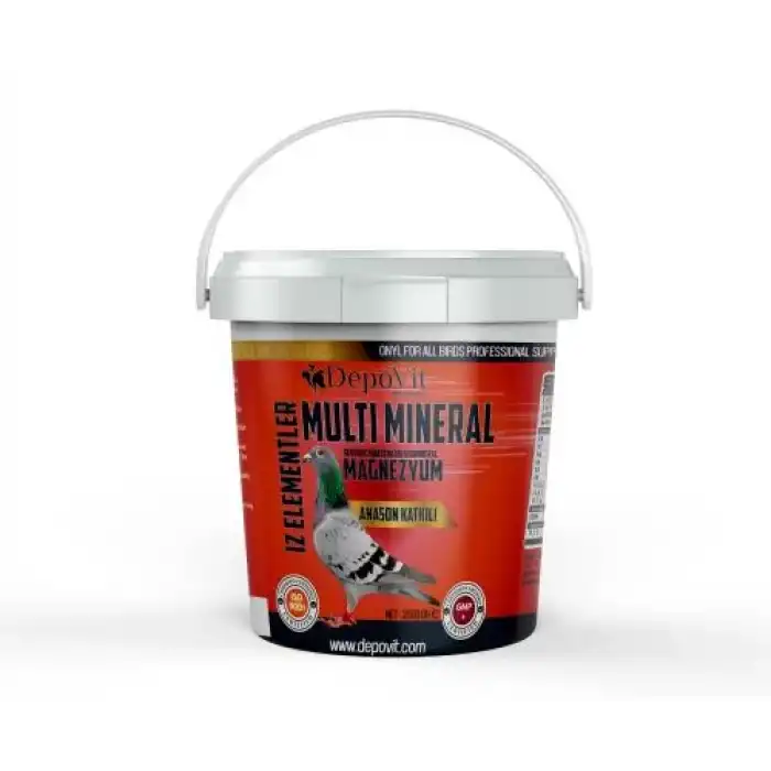 Depovit Multi Mineral Kırmızı Vitamin 2,5 Kg Kova