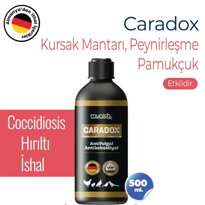Caradox - Kursak Mantarına Karşı Etkili Çözüm 500 ml - Pamukçuk ve Hırıltı Önleyici