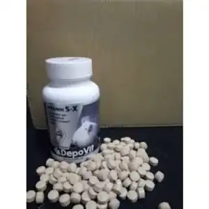 Depovi̇t Sx - Güverci̇n Yumurta Destekleyi̇ci̇ Özel Üründür 250tablet