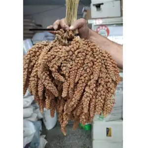 Kızıl Dal Darı-5 Kg