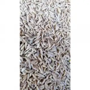 Soyulmuş İç Yulaf 5kg