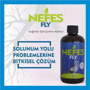 Nefes - FLY 235 ml (GÜVERCİNLER İÇİN)