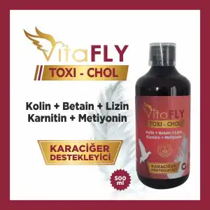 VitaFLY TOXI-CHOL 250 ml (KAFES KUŞLARI İÇİN)