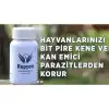 Repyon Bi̇t Ilaci 100gr