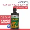 Probiox Kanatlı Hayvanlar için Canlı Probiyotik 500 ml