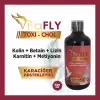VitaFLY TOXI-CHOL 250 ml (KAFES KUŞLARI İÇİN)