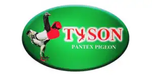 TYSON