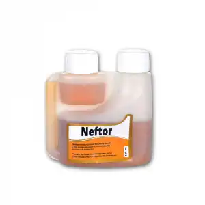 Neftor Hırıltı ve Nefes Ürünü 125 ml