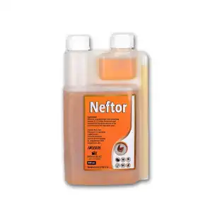 Neftor Hırıltı ve Nefes Ürünü 500 ml